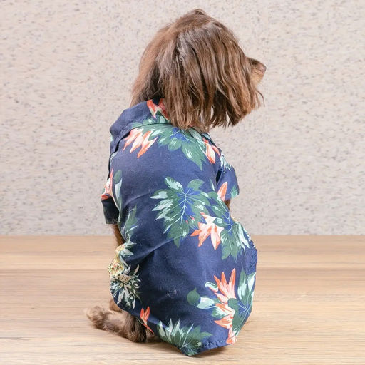 Рубашка для собак и кошек малых и средних пород "СТИЛЬНЫЙ БРО", цвет синий, принт ананасы с цветами, размер M