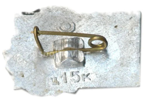 Значок Т.Шевченко