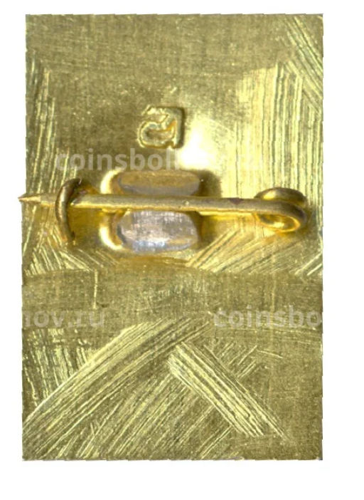 Значок Петродворец