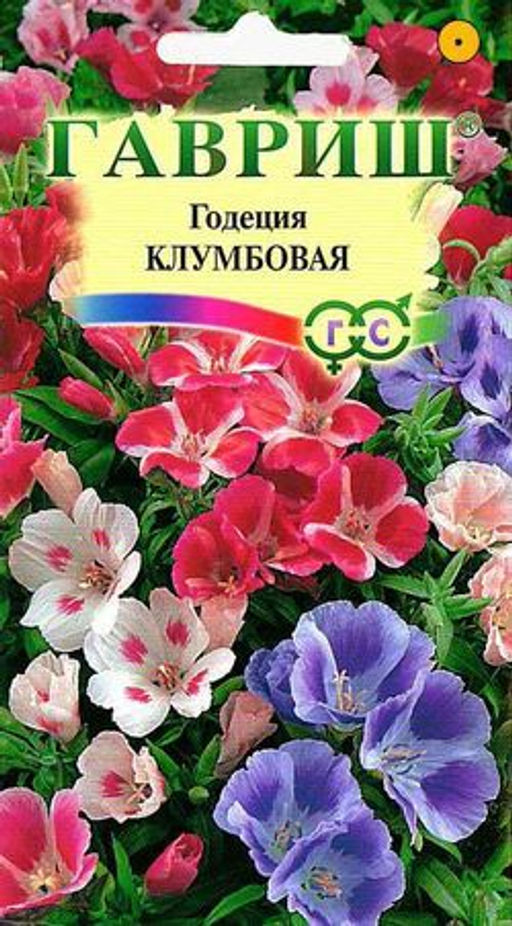 Клумбовая, смесь годеция 0,05г (г)