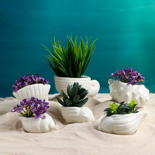 Набор фигурных кашпо для цветов Ракушки, керамика, 6 шт.