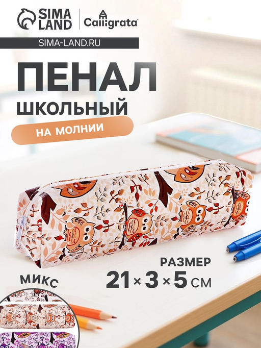 Пенал школьный Calligrata Совы, на молнии, 1 отделение, с принтом, МИКС