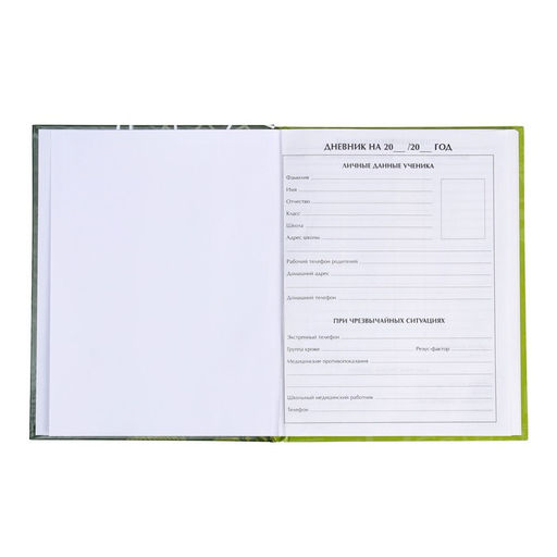 Цена за 2 шт. Дневник универсальный для 1-11 классов, «Футбол», твердая обложка 7БЦ, глянцевая ламинация, 40 листов