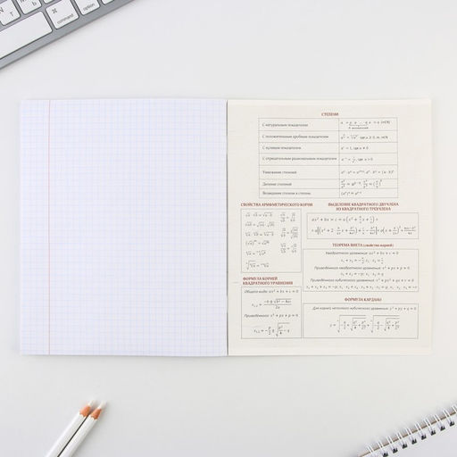 Предметная тетрадь, 48 листов, ИСТОРИЧЕСКИЕ ЛИЧНОСТИ, со справочными материалами Алгебра, обложка мелованный картон 230 гр., внутренний блок в клетку 80 гр., белизна 96%,блок №1. - Artfox study фото 4