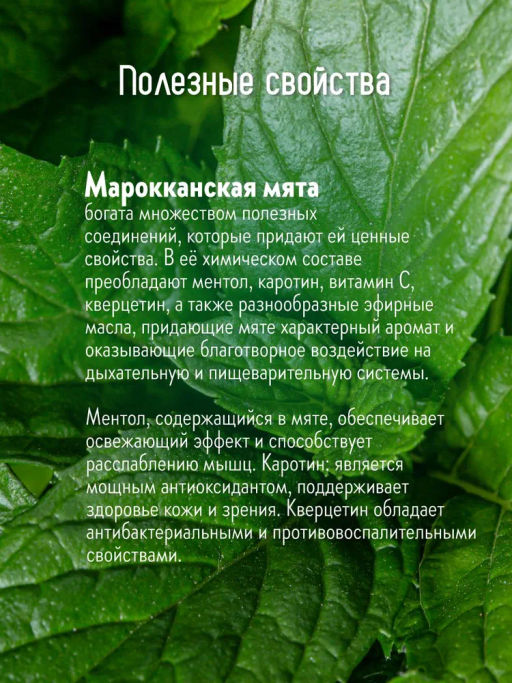 Камлёвъ Марокканская Мята / Эко Саше - чай, 48 г (16 саше)