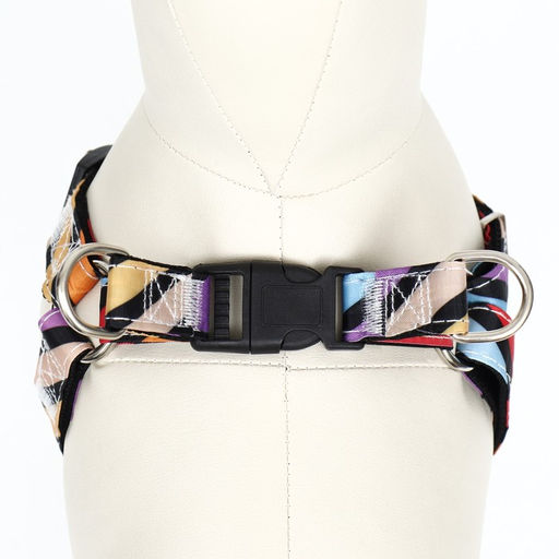 Комплект амуниции двухслойный, размер L, поводок 120 х 2 см, ОШ 31-45 см , ОГ 35-52 см, разноцветный - Пижон фото 5