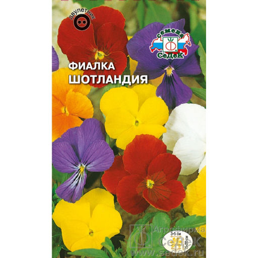 Фиалка Шотландия рогатая (гибридная смесь) 0,05г (СеДеК)