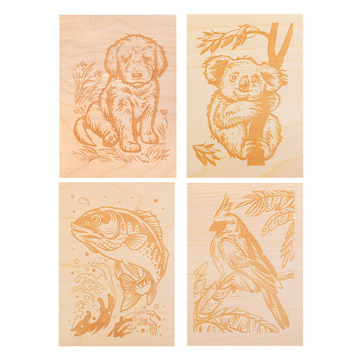 Выжигание. Набор для выжигания по дереву (аппарат с насадками, доски 5 шт)