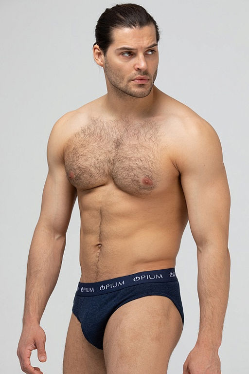 Мужские трусы R-14T Blue-Melange