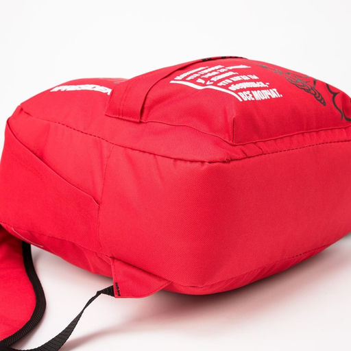 Рюкзак Герб, 31х13х41, отд на молнии, н/карман, красный - Nazamok фото 7