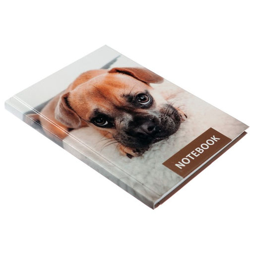 Блокнот А6, 64 листа в клетку Лучший друг, твёрдая обложка, блок офсет - Calligrata фото 2