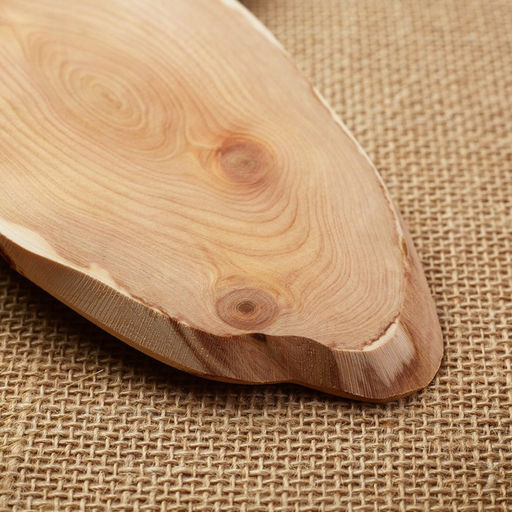 Подставка под горячее «Обычная, слэб», 8×20 см, можжевельник