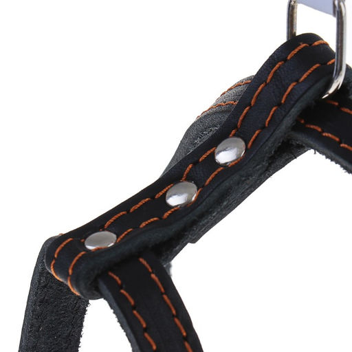 Шлейка кожаная Прогулочная, 1,5 см, ОШ35-50 см, ОГ 60-68 см, чёрный - Пижон фото 5