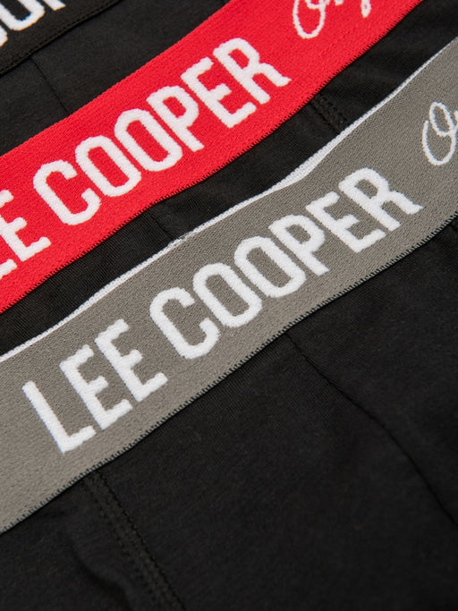 Трусы (набор) / Lee Cooper  фото 3