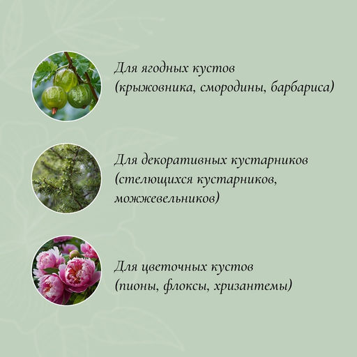 Цена за 2 шт. Кустодержатель, d=50 см, h=90 см, ножка d=1 см, металл, набор 2 шт., зелёный - Simaland фото 2