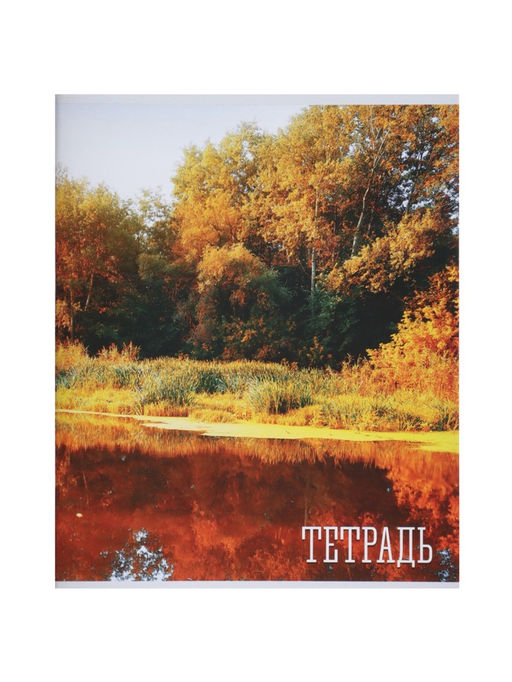 Комплект тетрадей, 48 листов в клетку, Calligrata «Времена года», серые листы, 4 штук