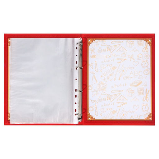 Папка школьная на кольцах «Портфолио школьника», 13 листов-разделителей, 24.5×32 см