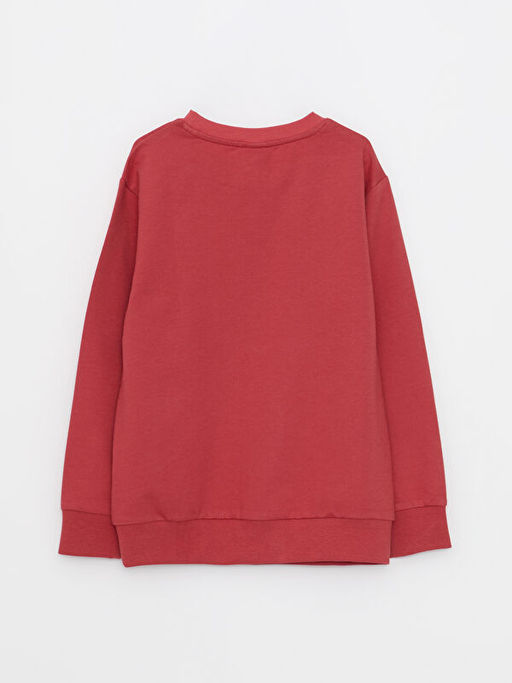 Bisiklet Yaka Bask?l? Uzun Kollu Erkek ?ocuk Sweatshirt - Waikiki фото 2