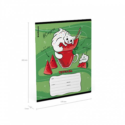 Цена за 10 шт. Тетрадь школьная ученическая ErichKrause Смурзи, 18 листов, клетка (в плёнке по 10 шт.)_MIX-PACK  фото 10