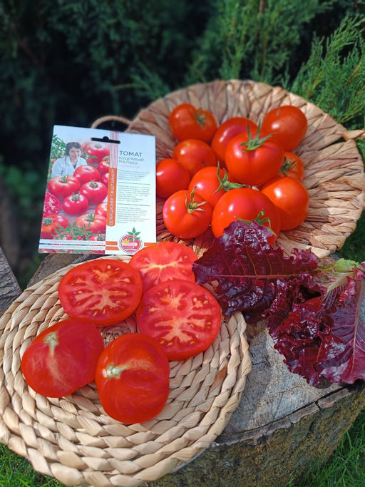 Томат КУДРЯВЫЙ МАЛЫШ коллекция Татьяны Штайнерт Авторская селекция - Уральский дачник фото 3