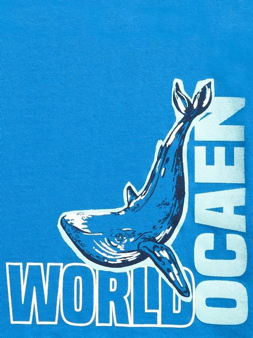 BUVD3223 майка для мальчиков - Pelican фото 2