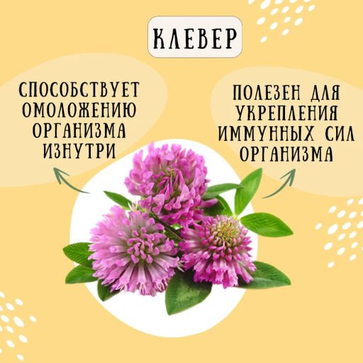 Камлёвъ Черный чай с ягодами облепихи "Облепиховый", 48 г (16 саше)