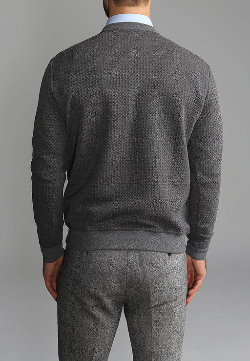 Джемпер мужской GREG G121-RH146-20 (серый)  фото 2