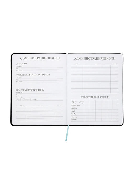 Дневник школьный «Рыцарь» 1-11 класс, ляссе, обложка искусственная кожа, чёрный