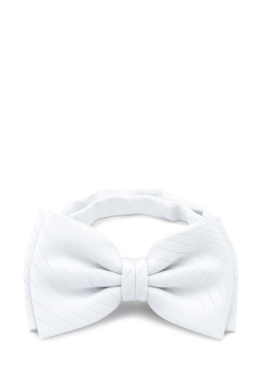 Галстук-бабочка мужской CASINO Casino-poly-wedding 512.1.479