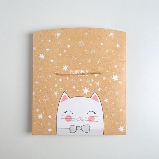 Пакеткоробка Сюрприз!, 23 х18 х11 см - Дарите счастье фото 6