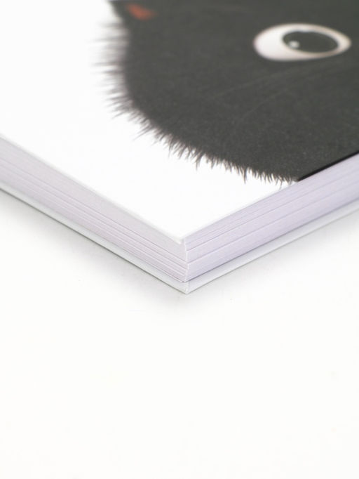 Скетчбук в твердой обложке на гребне А5 80 л 100 г/м "Котик"