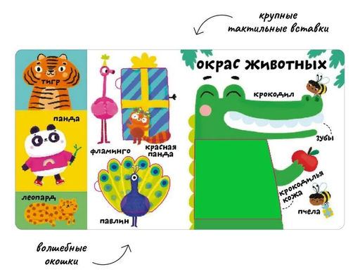 Мои первые 100 слов с окошками. Такие разные животные - Робинс фото 4