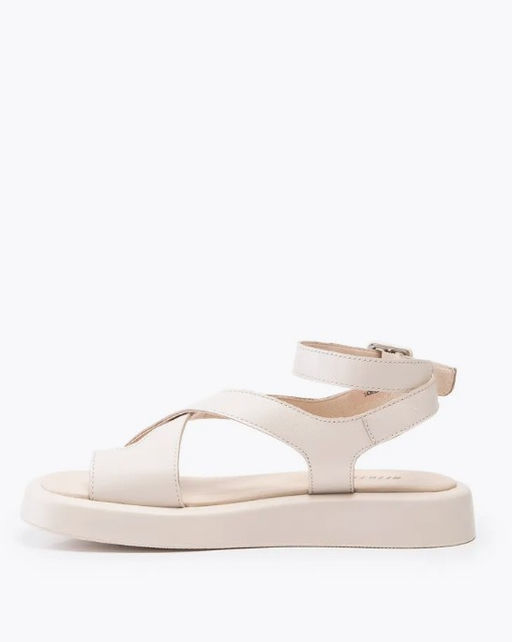 Сандалии 2438555 - Belwest фото 3