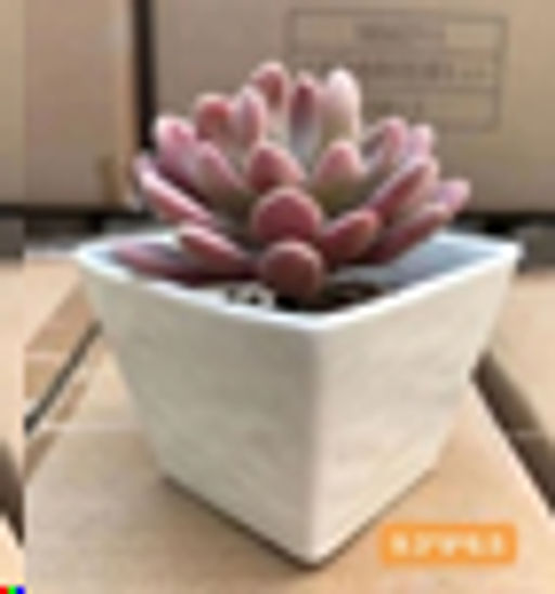 Кашпо 9,3 см / FLM-153 /уп 5/60/ - Галеонтрейд фото 2