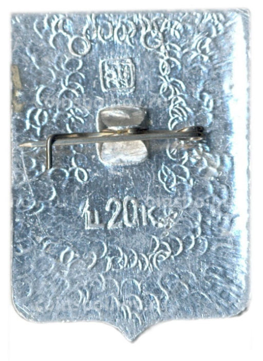 Значок Жиганск