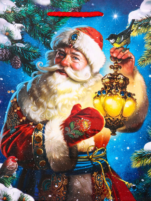 Цена за 2 шт. Пакет подарочный новогодний ламинированный, «Дед Мороз», 18×10×22.3 см