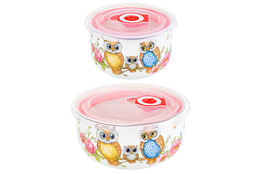 Набор 2 салатников - 13*13*6,5 см 560 мл+10,5*10,5*6 см 260 мл Совушки с плас.крыш. NEW BONE CHINA - Elan gallery фото 5