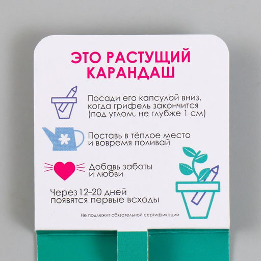 Растущие подарочные карандаши mini Будь как дерево "Сосна"