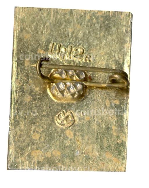 Значок София Киевская