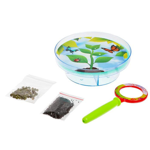 Набор для опытов Выращиваем растение: лупа, семена, тарелка, губка - Эврики фото 8
