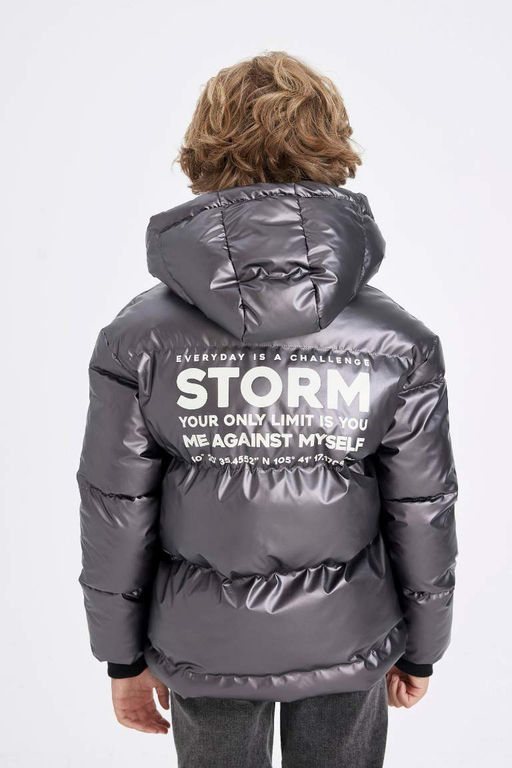 Пуховик с водоотталкивающим капюшоном и флисовой подкладкой для мальчика - Defacto фото 8