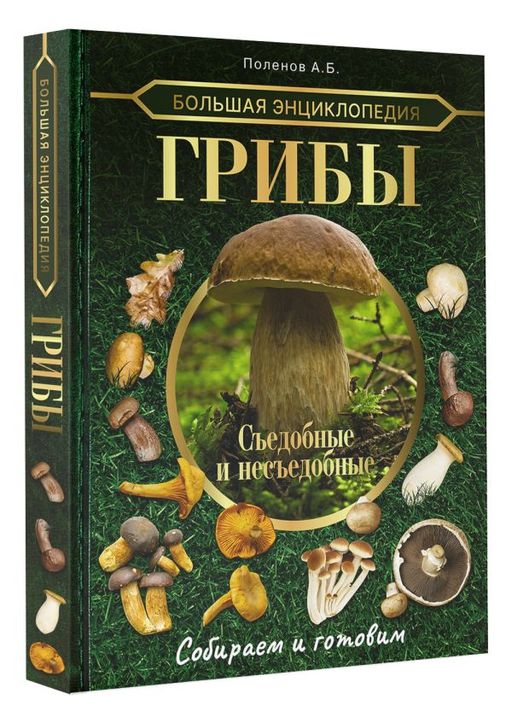 Большая энциклопедия. Грибы. Съедобные и несъедобные. Собираем и готовим.