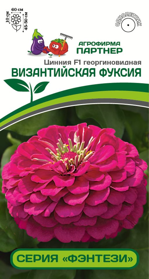 Цинния георгиновидная Фэнтези Византийская Фуксия