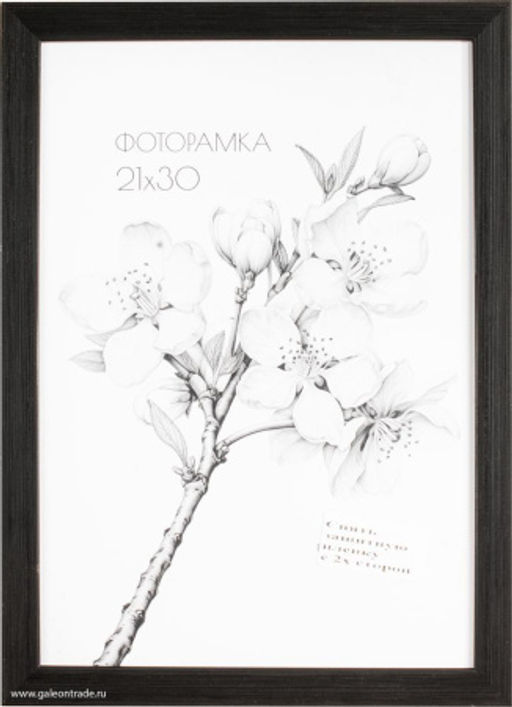 Фоторамка 21х30 с акриловым стеклом / 2004D-012C /уп10 ф - ГалеонТрейд фото 2