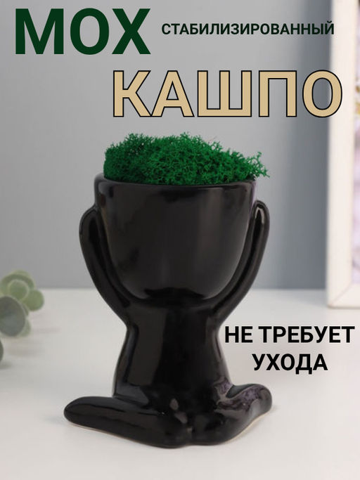 Стабилизированный мох в кашпо из керамики Мистер Грин любитель тишины, 11.5109 см, чёрный