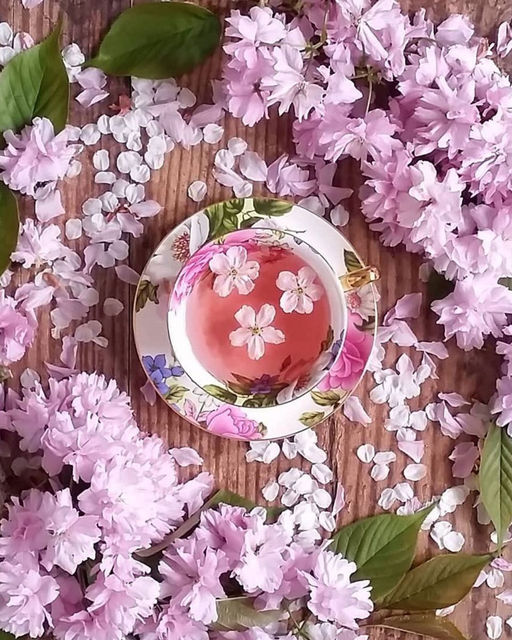 Картина по номерам на холсте и подрамнике 40х50 см