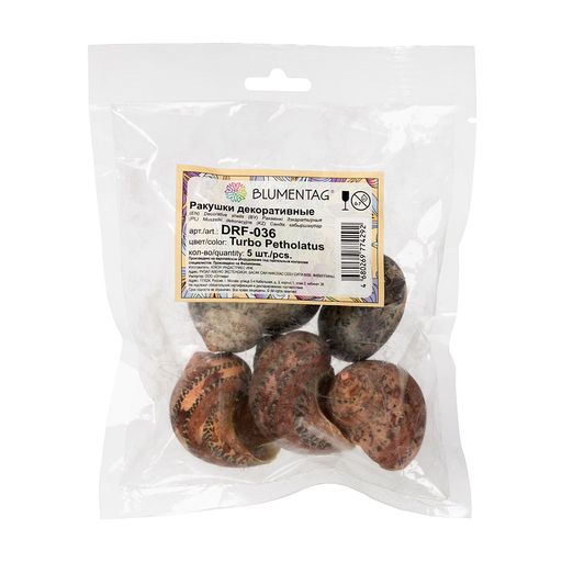 Blumentag / Zlatka DRF-036 Ракушки морские 5 шт. 3.8 см Turbo Petholatus