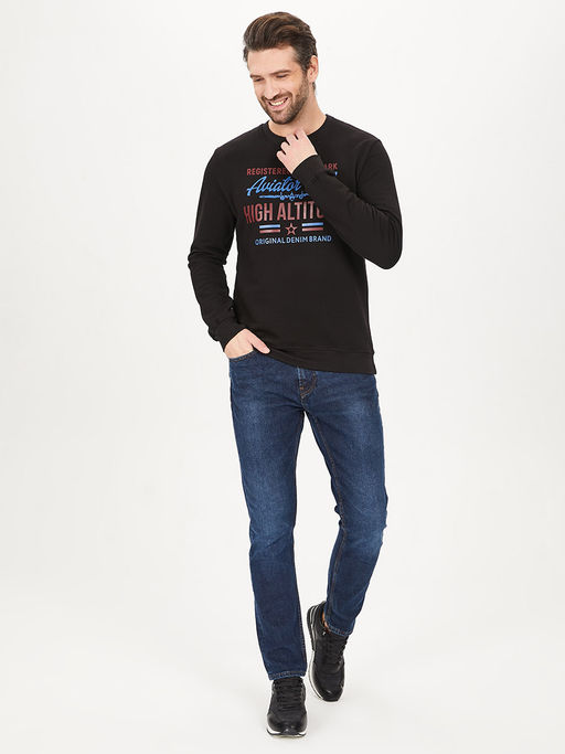 Свитшот мужской GREG G121-Aviator (чёрный)  фото 5