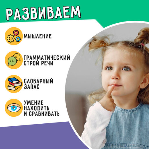 Развивающий набор Омонимы Сима-ленд
