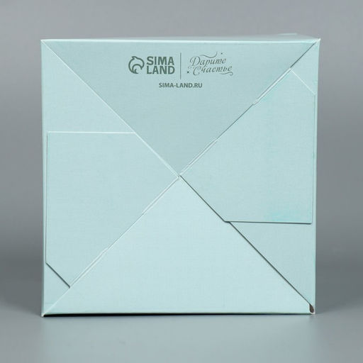 Цена за 2 шт. Коробка подарочная для цветов с PVC крышкой, упаковка, «Present», 12 х 12 х 12 см